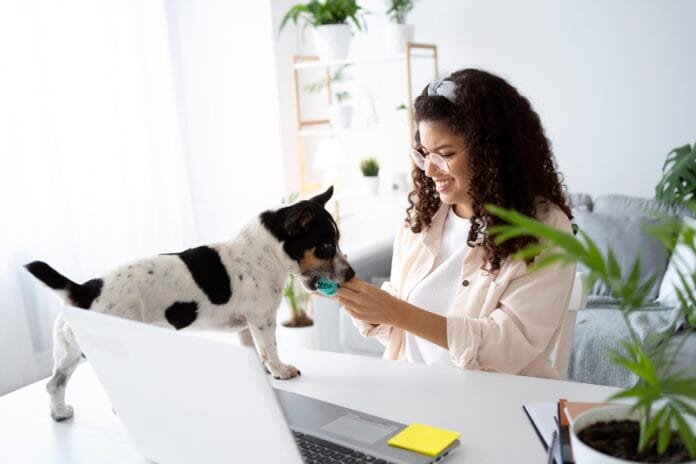 O que investidores estão vendo nos pets que outros mercados ainda não enxergaram?