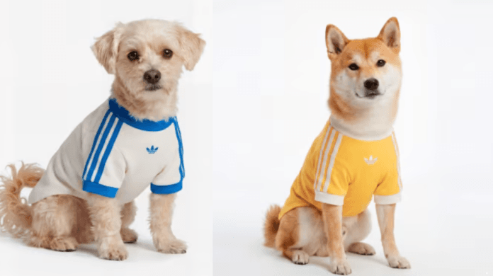 Moda pet ganha força com nova coleção da adidas Originals para cães e gatos