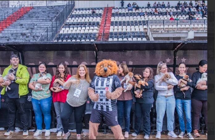 Quinze animais, uma partida, uma nova família: como foi a ação de adoção da Inter de Limeira?
