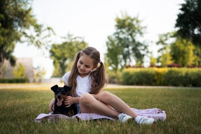 Entre viagens e brincadeiras: o que muda para os pets durante as férias escolares