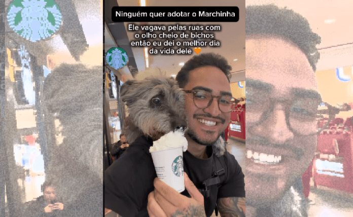 Cachorro resgatado Marchinha passeando durante um dia especial antes da adoção