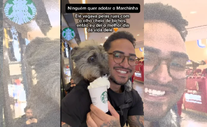 Cachorro resgatado Marchinha passeando durante um dia especial antes da adoção