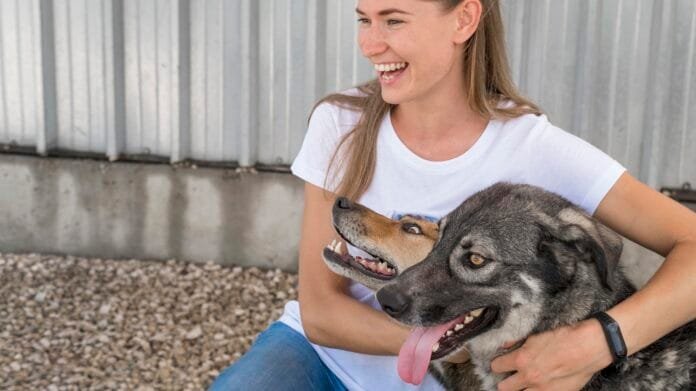 Piracicaba tem feira de adoção de pets no fim de semana