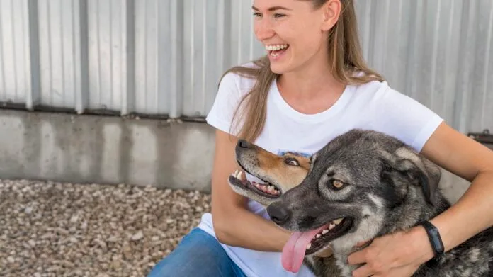 Piracicaba tem feira de adoção de pets no fim de semana