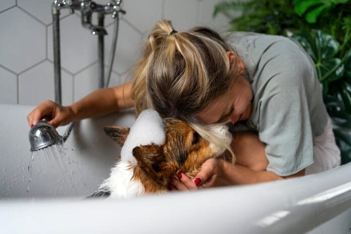 Pele dos pets entra na era dos dermocosméticos e amplia debate sobre prevenção na medicina veterinária