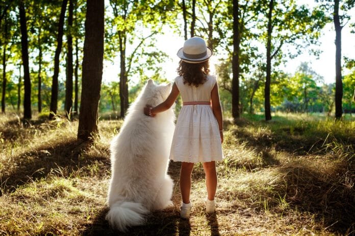 O crescimento dos planos funerários pet acompanha uma mudança na forma como as famílias enxergam seus animais