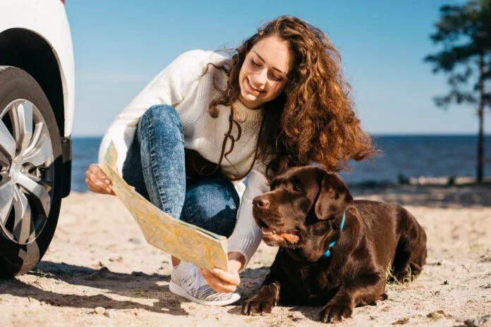 Tutor passeia com cachorro em destino turístico pet friendly no Brasil
