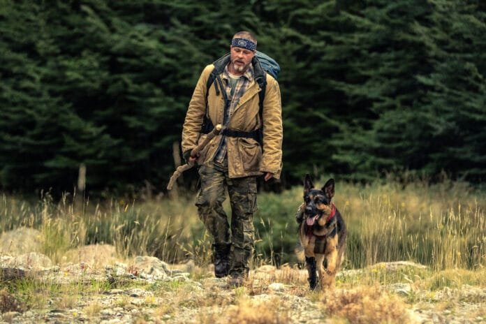 Brad Pitt revela parceria com cachorro ator nos bastidores de novo filme