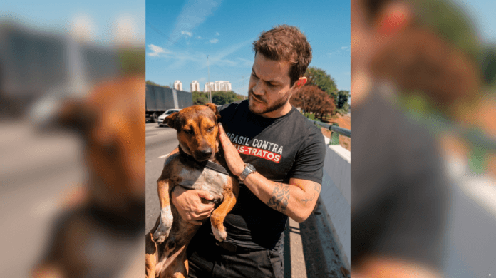 Cão assustado é resgatado da Marginal Tietê antes de ser atropelado