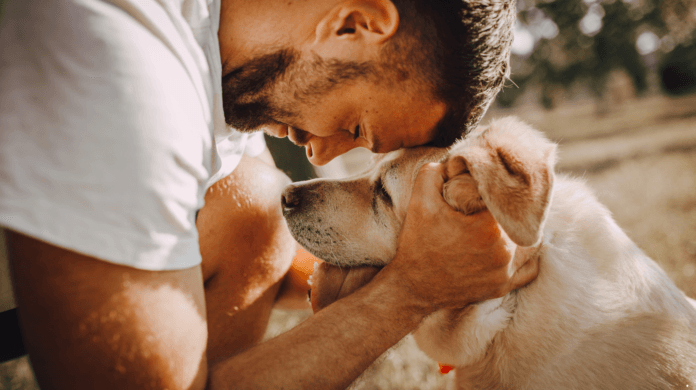 O que o choro do cachorro pode revelar?
