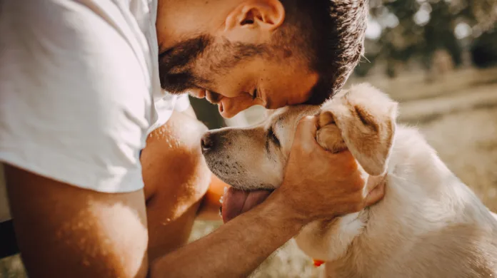 O que o choro do cachorro pode revelar?
