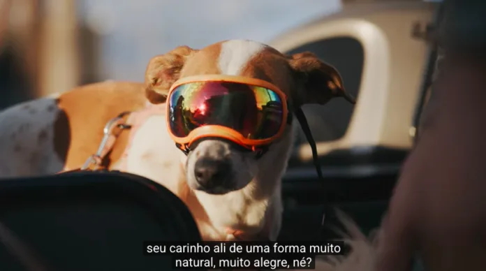 Como Brasília virou referência na convivência com pets? Documentário estreia hoje