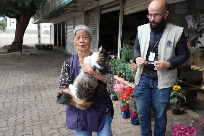 Saúde de Campinas vacina gatos no Cemitério da Saudade após caso de raiva em felina