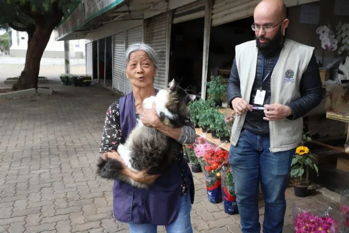 Saúde de Campinas vacina gatos no Cemitério da Saudade após caso de raiva em felina