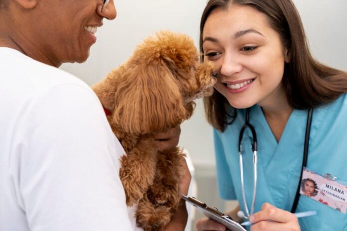 Inteligência artificial transforma o prontuário veterinário e muda a rotina de clínicas e tutores