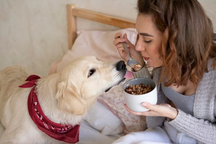 Mercado de alimentação natural pet vai crescer 44% até 2035 na América Latina