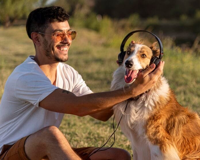 A música realmente acalma os pets ou isso é mito?