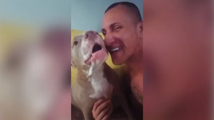 Cadela “conversa” com tutor durante carinho e diverte a internet