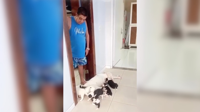 Zeca Pagodinho apresenta seus novos “netinhos” e brinca: “pura raça Pagodinho”
