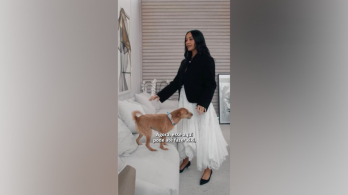 Cinco cachorros, bagunça e muita personalidade: Sabrina Sato mostra rotina com os “Sato Dogs”