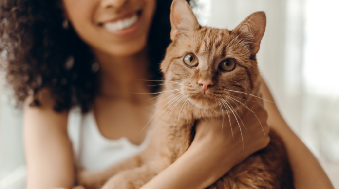 Brasil lidera ranking global de disposição para adotar pets, aponta pesquisa
