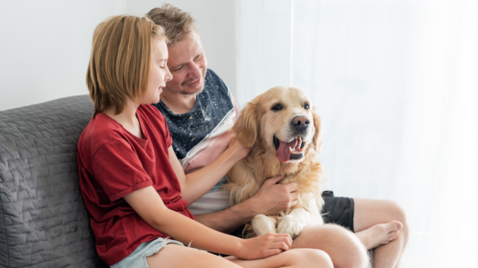 Dia das Crianças: convivência com pets pode estimular empatia e comunicação